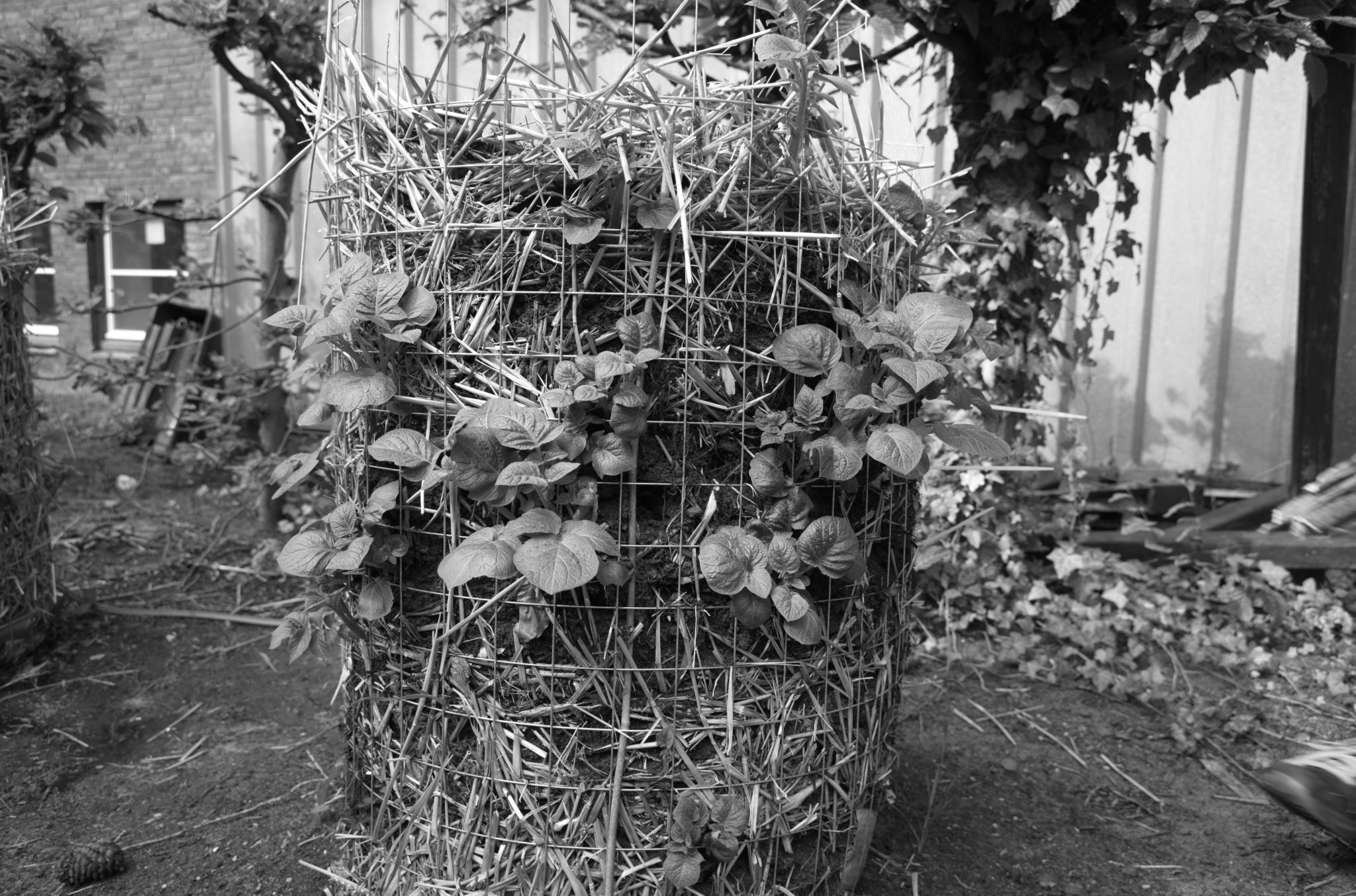 20210602  Gruen(t)raumHeimfeld 002